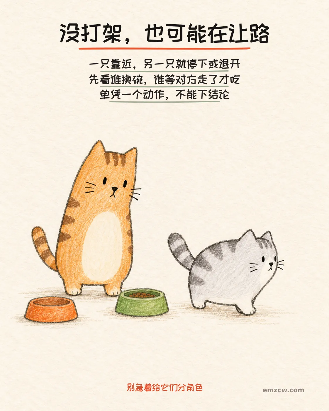 二猫子一只守在饭碗旁,另一只转身离开,提醒即使没有打架,也要观察谁换碗、谁因对方靠近而停吃或退开