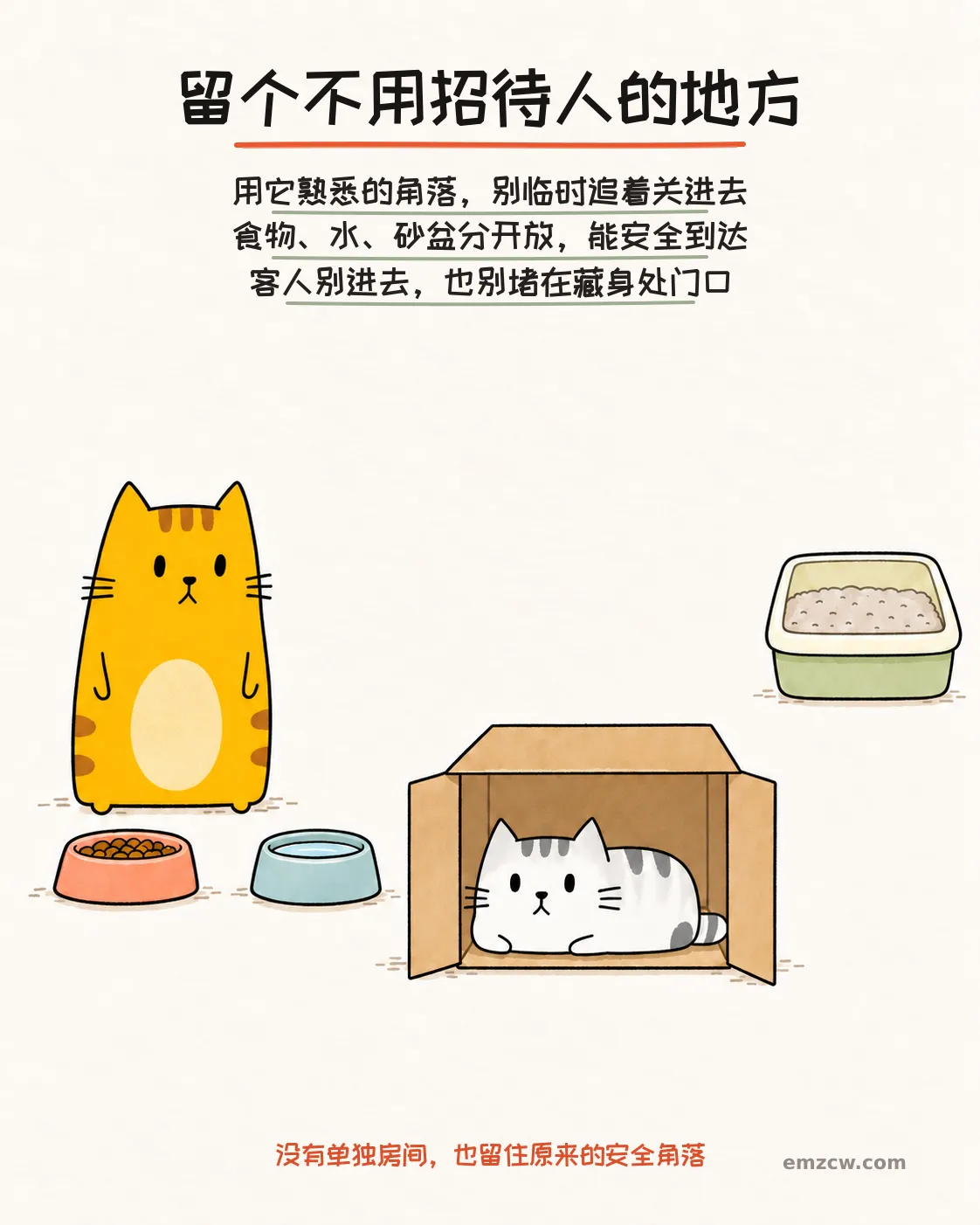 二猫子一只在熟悉的休息箱里,另一只安静等待,食物、水和砂盆分开放,说明先安排不被围观的安全角落