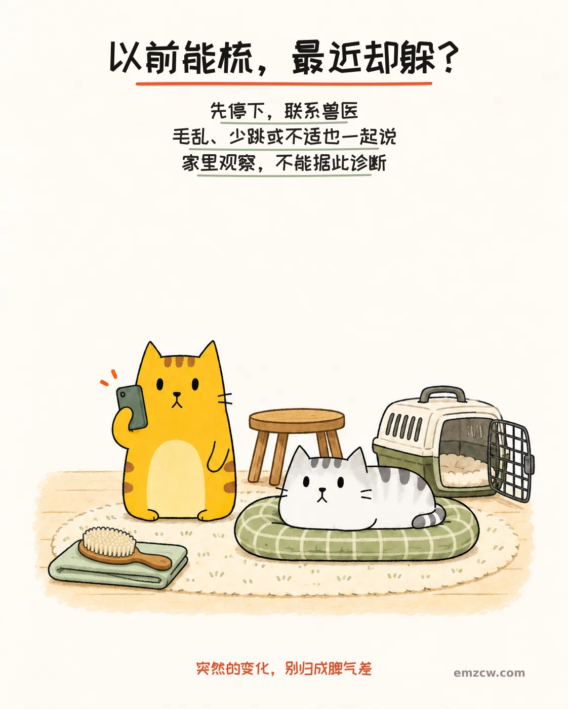 二猫子一只拨电话,另一只卧在软垫上,旁边的梳毛刷已停用,说明突然抗拒触碰要先停并联系兽医