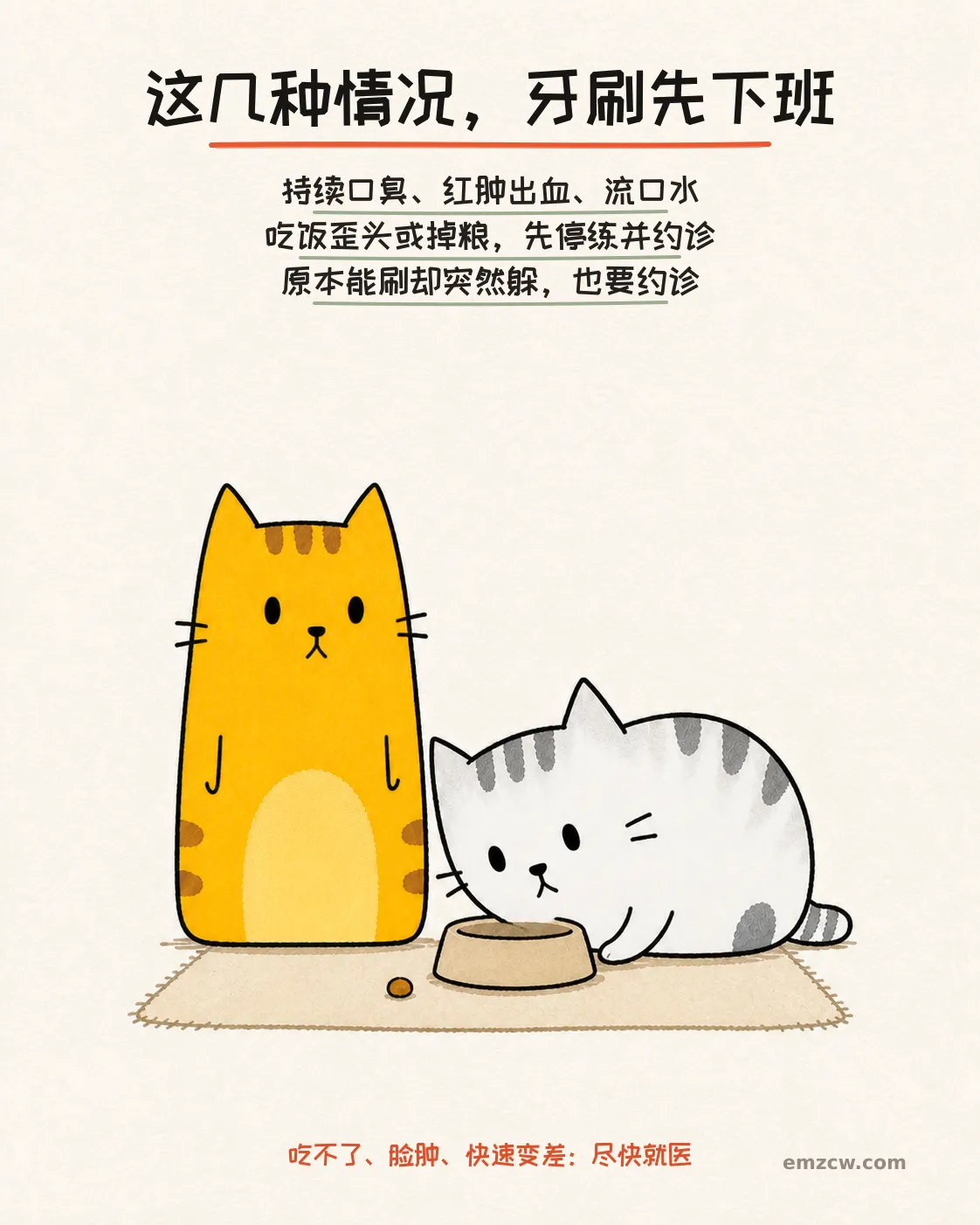 银渐层坐在饭碗旁歪头并掉下一颗粮,橘猫在一旁观察,提醒发现口腔异常要停练约诊