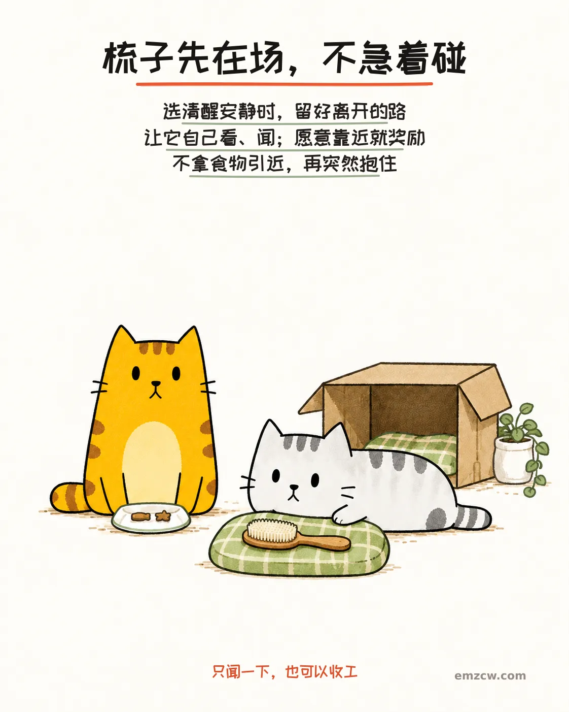 二猫子一只自主查看软垫上的梳毛刷,另一只守着奖励安静等待,身后有纸箱退路,说明先熟悉工具而不抱住猫