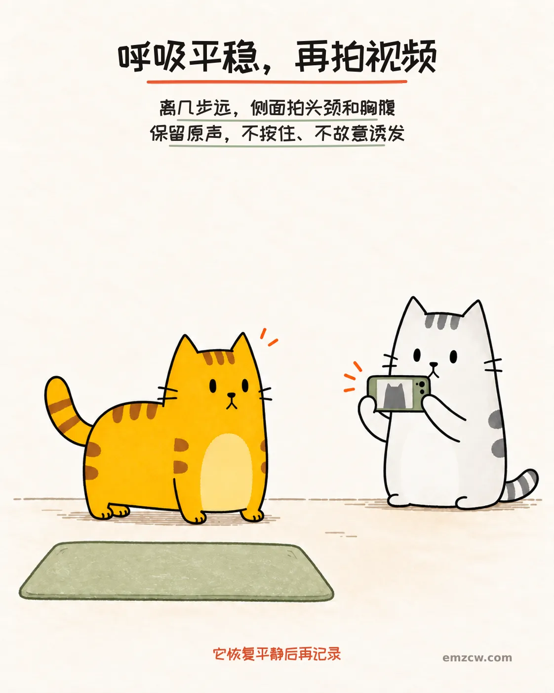 二猫子一只放松站在侧面,另一只隔着距离横向拍摄,说明恢复平静后再记录头颈和胸腹
