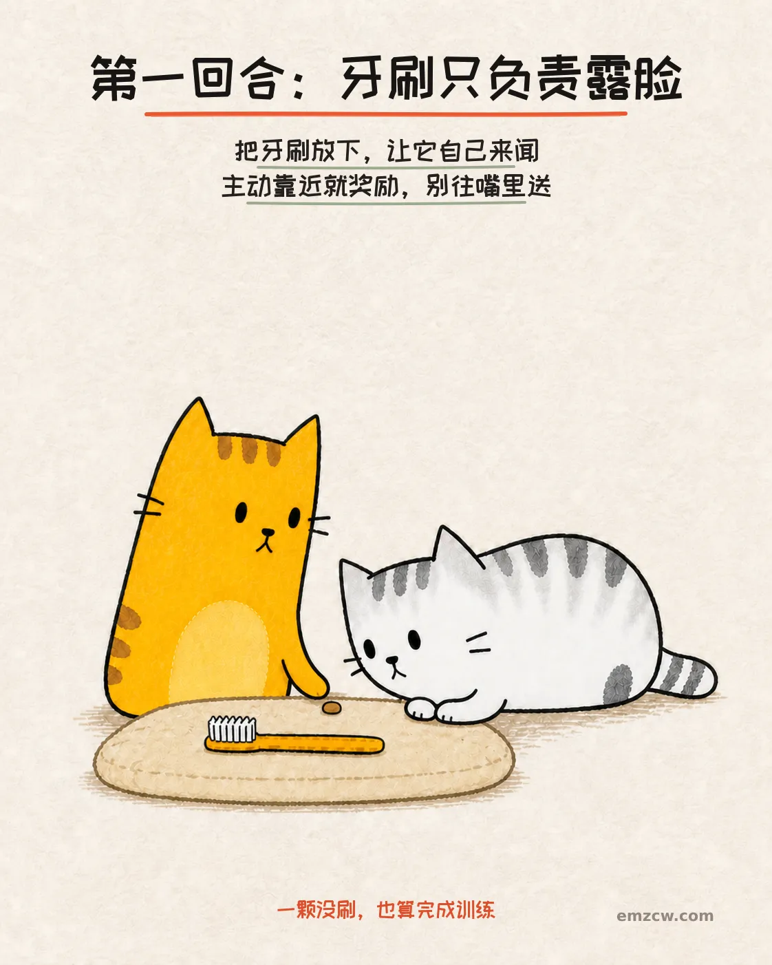 银渐层主动闻软垫上的牙刷,橘猫陪在旁边,演示先熟悉牙刷再开始练习