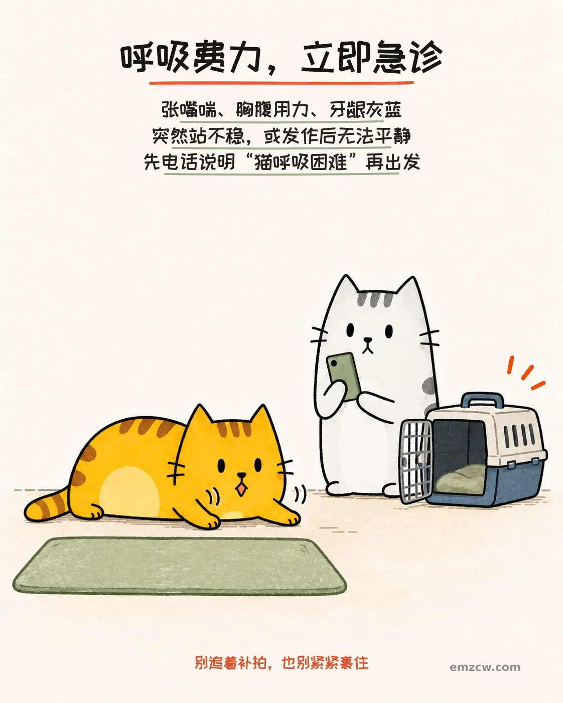 二猫子一只低伏张嘴且胸腹起伏,另一只守在电话和打开的航空箱旁,提醒呼吸费力要立即急诊