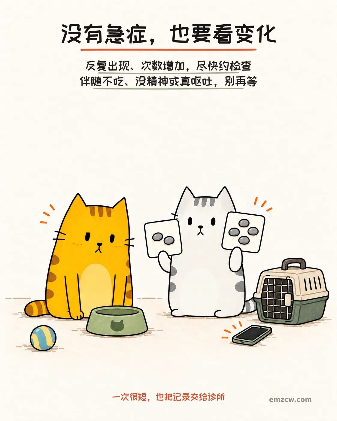 二猫子对比两组石子并看向未动的饭碗、手机和航空箱,提醒反复或伴随状态变化要预约检查