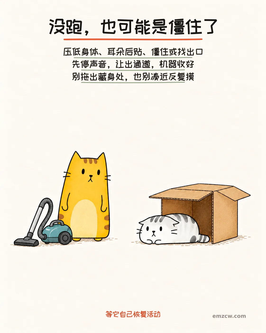 二猫子一只在纸箱前压低身体并把耳朵后贴,另一只停用机器并留出通道,提醒僵住也是紧张信号且不要拖猫出来