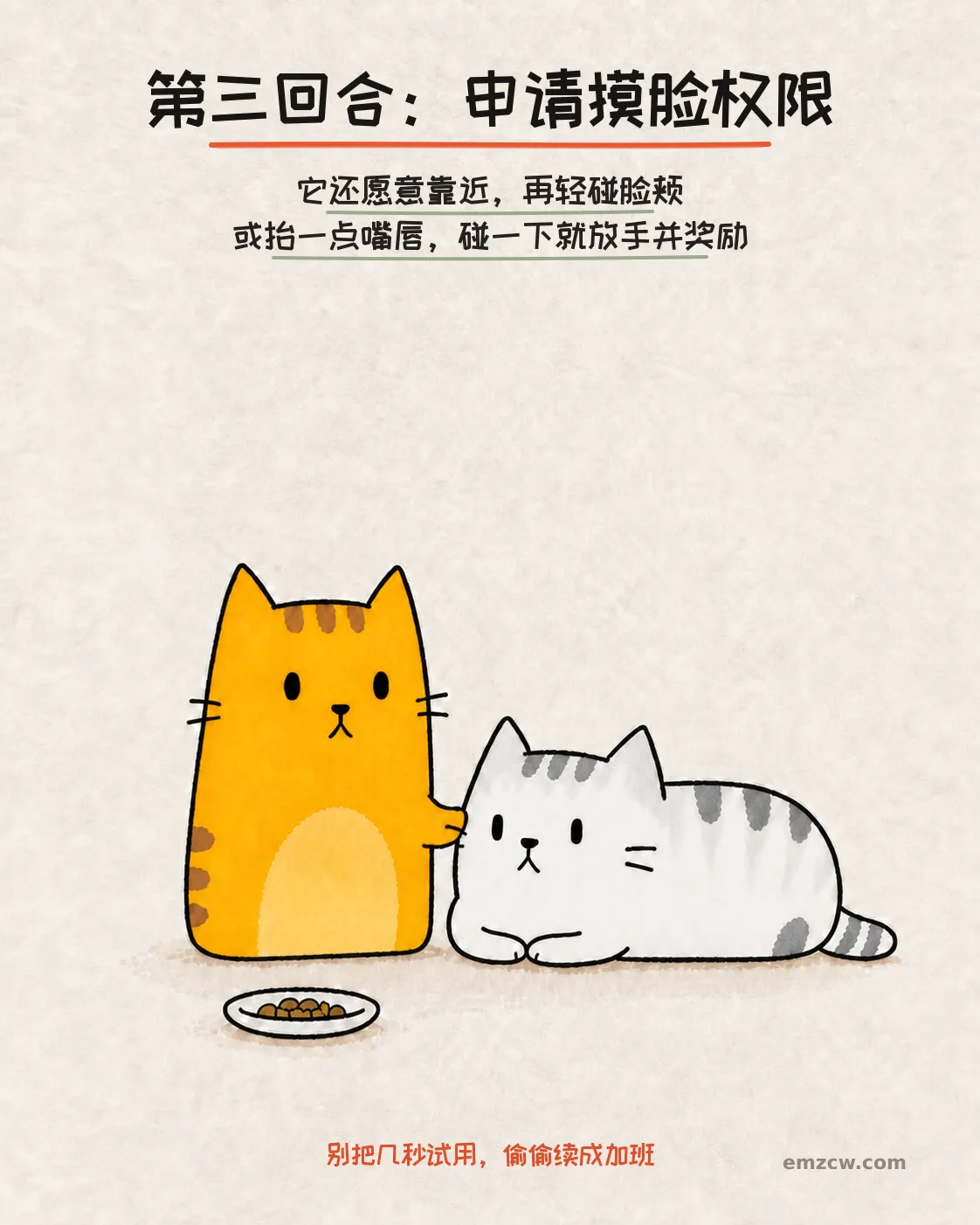 橘猫短暂轻碰放松的银渐层脸颊,旁边放着奖励,演示碰一下就放手并奖励