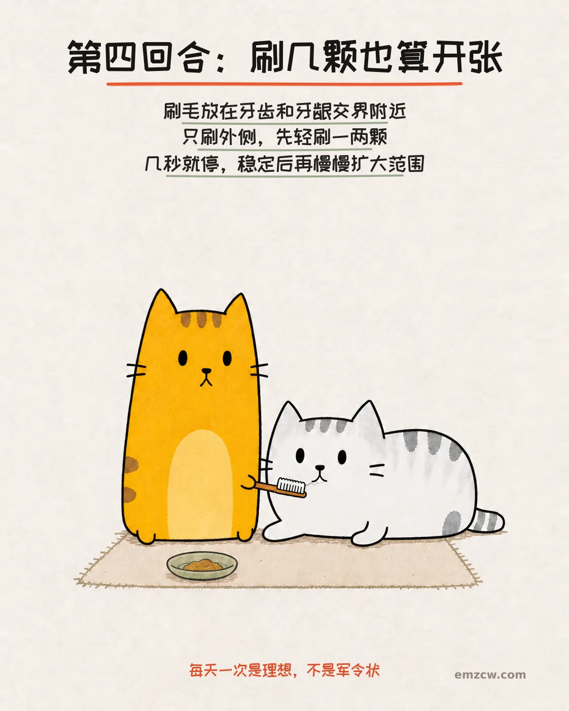 橘猫用软毛牙刷轻刷银渐层牙齿外侧,旁边有奖励,说明先刷一两颗再逐步扩大范围