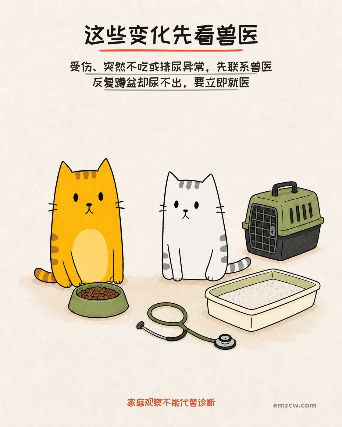 二猫子坐在未动的饭碗、猫砂盆、航空箱和听诊器旁,说明受伤、不吃或排尿异常要联系兽医
