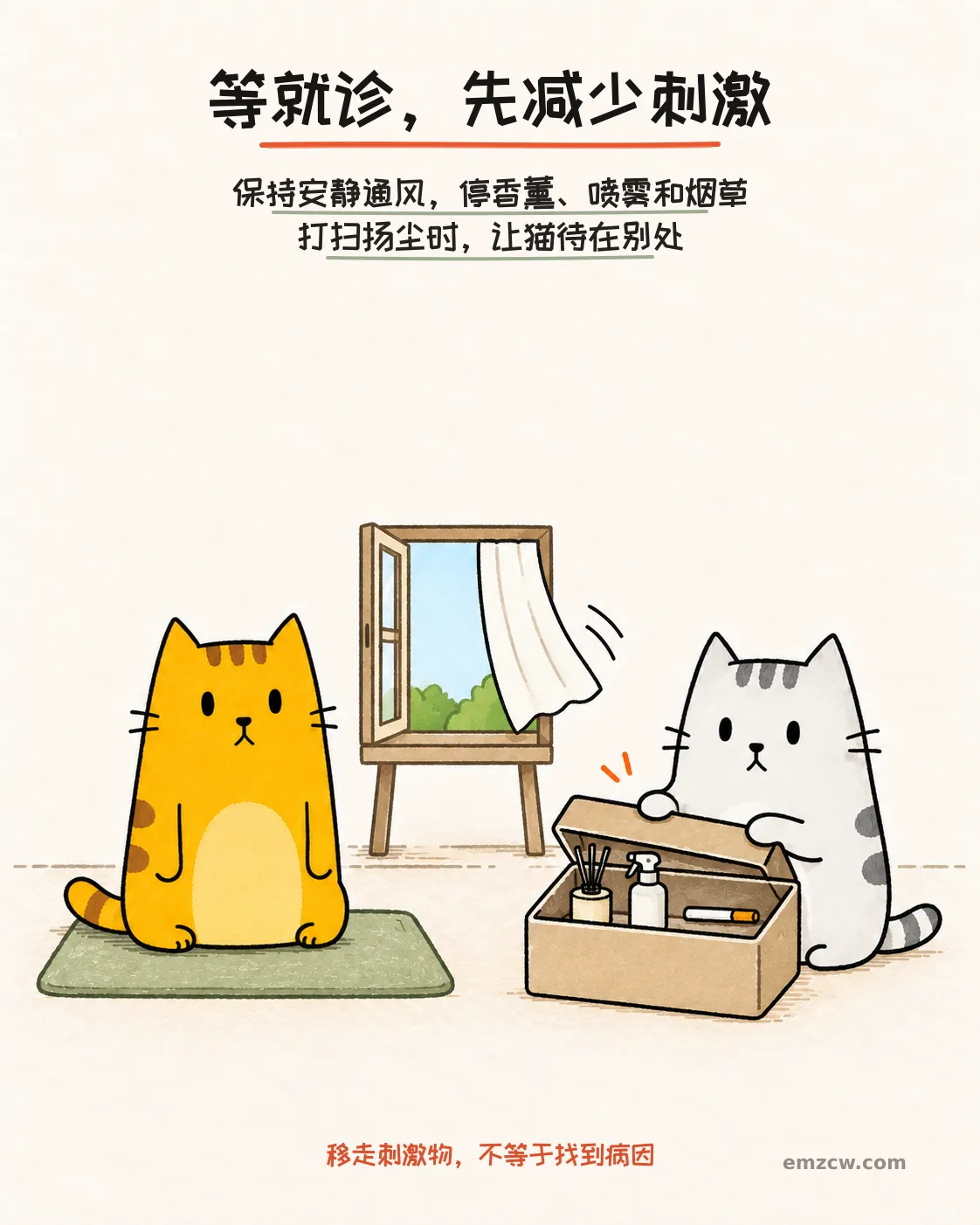 二猫子把香薰、喷雾和烟草收进盒子,旁边保持安静通风,说明移走刺激物不等于找到病因