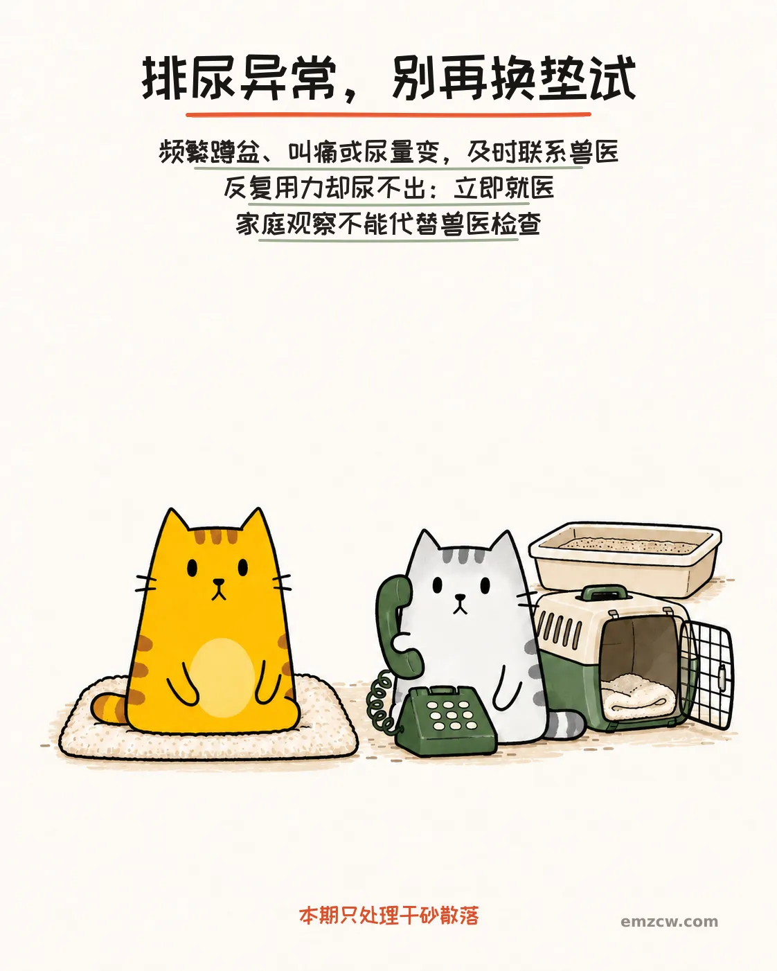 二猫子在软垫、电话和打开的航空箱旁准备求助,说明排尿异常及时联系兽医,反复用力却尿不出时立即就医