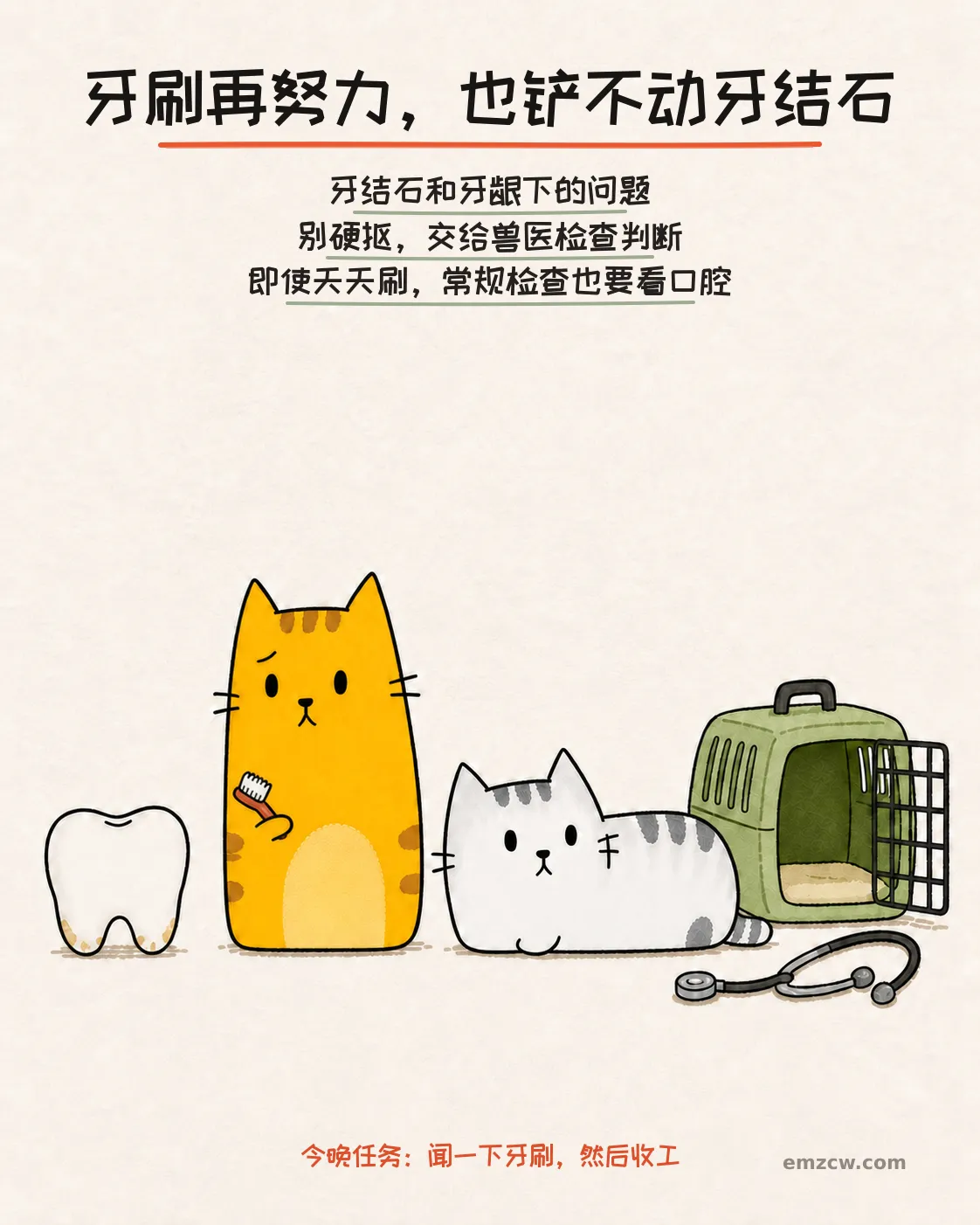 橘猫拿着牙刷面对有硬沉积的牙齿模型,银渐层坐在航空箱和听诊器旁,说明牙结石要由兽医检查判断