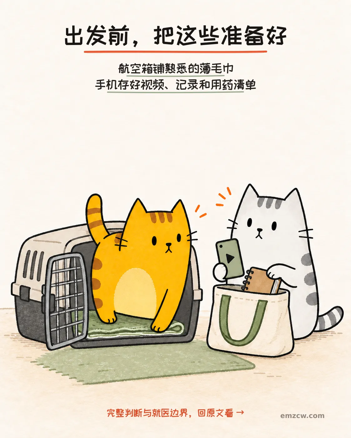 二猫子准备铺有熟悉薄毛巾的航空箱,并收好视频、记录和用药清单